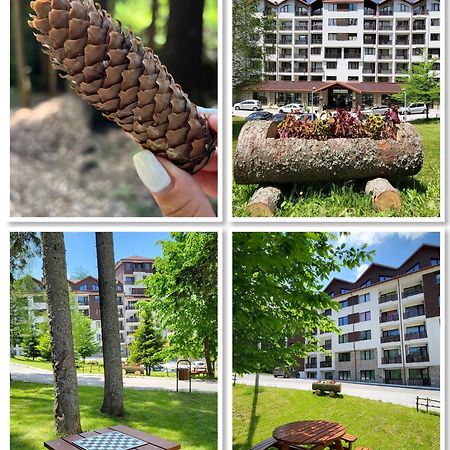 The Green Apartment ボロヴェッツ エクステリア 写真
