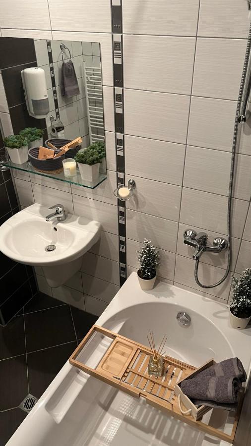 The Green Apartment ボロヴェッツ エクステリア 写真