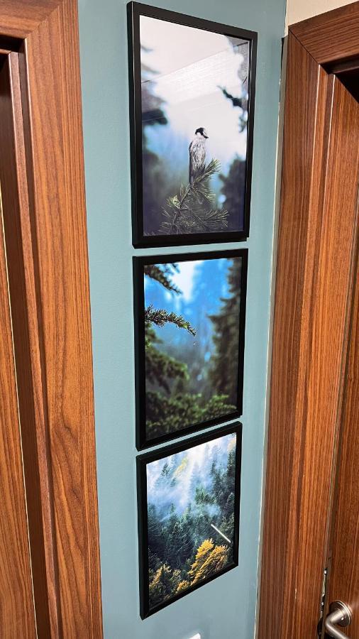 The Green Apartment ボロヴェッツ エクステリア 写真