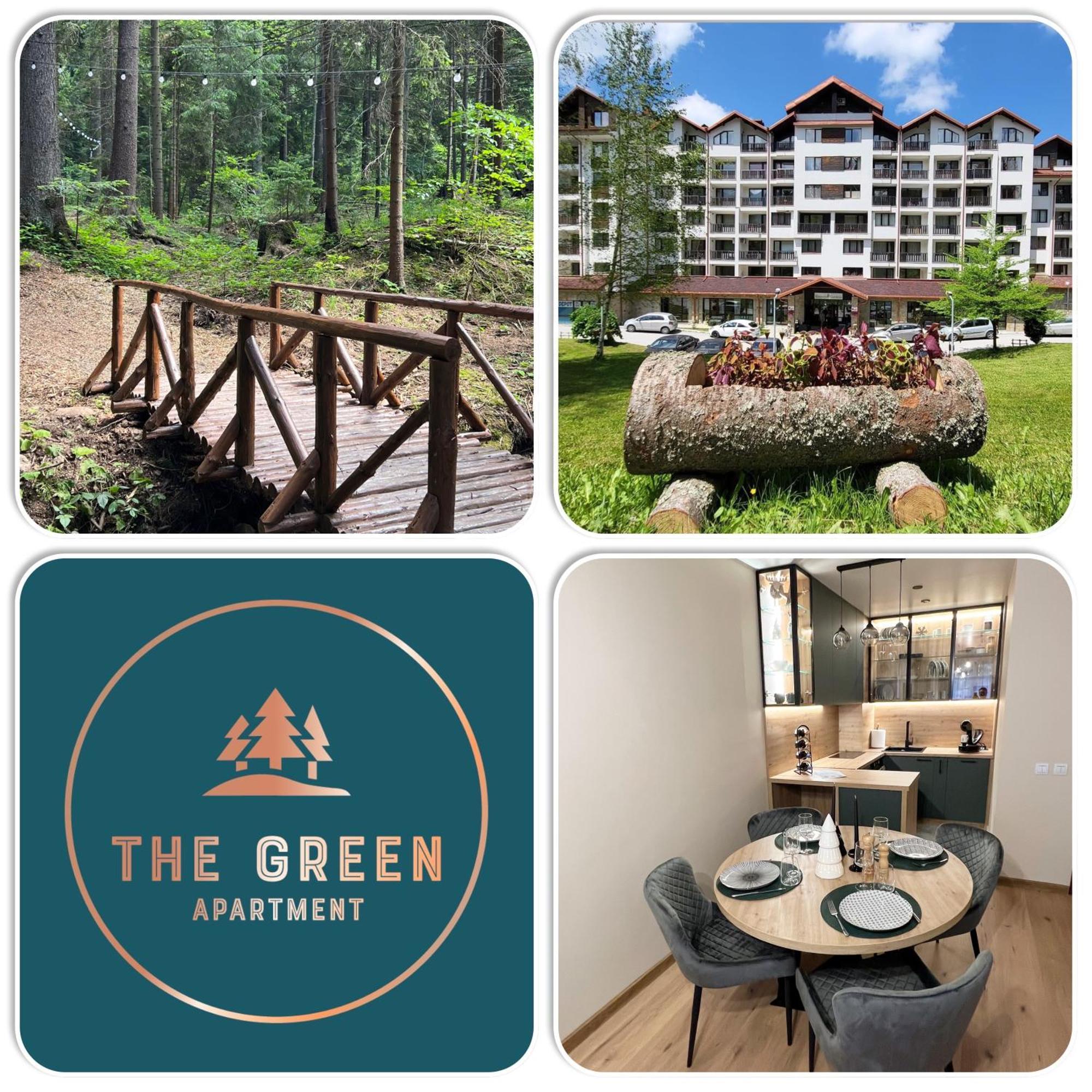 The Green Apartment ボロヴェッツ エクステリア 写真