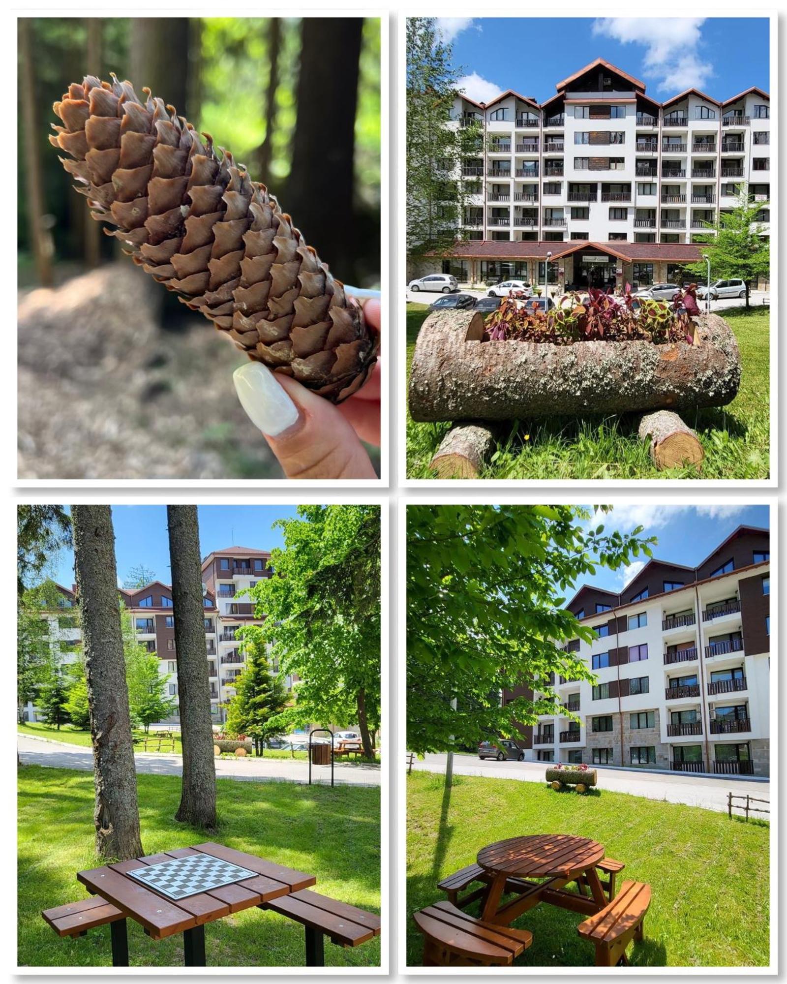 The Green Apartment ボロヴェッツ エクステリア 写真